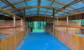 Imagem 3: Lote/Terreno para venda tem 999 metros quadrados em Chácaras Rio Negro - Iranduba - Amazo