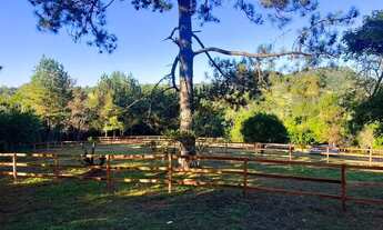 Imagem 7: CHÁCARA A 100 METROS DA RS020-PARCELO DIRETO