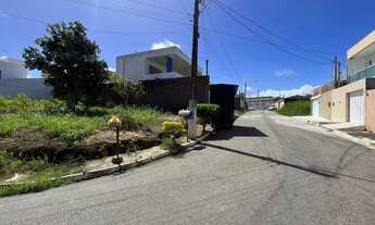 Imagem 7: Lote de esquina na serraria