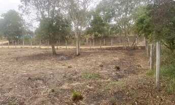 Imagem 5: 3 lotes escriturados 100% planos 12x30 cada atrás do termas na rododol