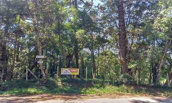 Imagem: Vendas Terreno São José Dos Pinhais PR