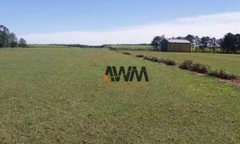 Imagem 4: Fazenda à venda, m² por R$ 250.000.000 - Parque Furquim - Presidente Prudente/SP