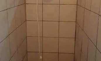 Imagem 5: Casa para alugar