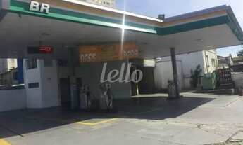 Imagem 4: São Paulo - Terreno Padrão - Ipiranga