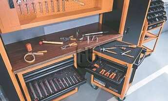 Imagem 4: FORMIDABLE LARANJEIRAS