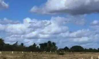 Imagem 4: Vendo 4 Lotes um ao Lado do Outro. Loteamento Onildo Silva Pedra Ferrada