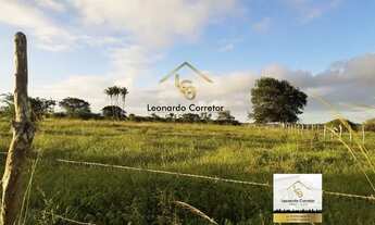 Imagem 3: Leonardo Corretor Vende: 12 Hectare de R$ 1.2 Milhão Por R$ 700 Mil - Dentro de Gravatá