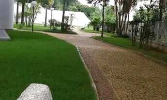 Imagem 7: Apartamento em Vila Firmiano Pinto - São Paulo