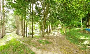 Imagem 5: Incrível Chácara / Sítio 30 mil m2