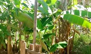 Imagem 6: Casa Casa com 2 dormitórios