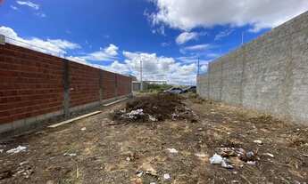 Imagem 3: Terreno de 200m² no Loteamento Recife 2. Quitado!