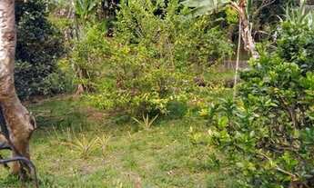 Imagem 6: Vendo excelente sitio Em jaguaripe