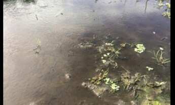 Imagem 5: Lote/Terreno para venda tem 3150 m2 em Corrego do Retiro - Aracati - Ceará