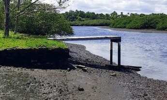 Imagem 5: Vendo fazenda em jaguaripe