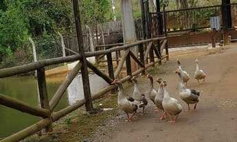 Imagem 3: Terreno 1000 mt com escritura