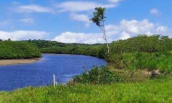 Imagem 3: Vendo fazenda em jaguaripe