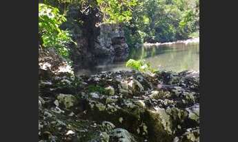 Imagem 3: Vendo chácara Chácara com venda por R$195.000