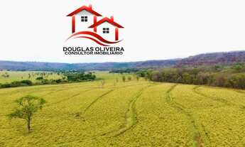 Imagem: Fazenda 124,4 Hectares No Triângulo Mineiro