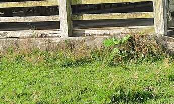 Imagem 2: Vendo excelente fazenda em Nazaré das farinha