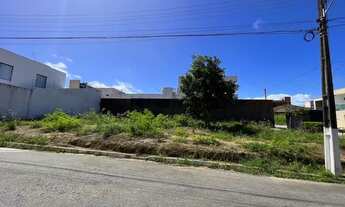 Imagem 2: Lote de esquina na serraria