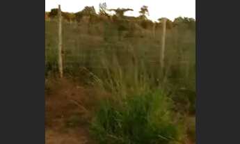 Imagem 5: UM LOTE 2700 m2 no Jardim Ingá