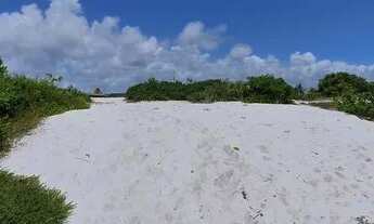 Imagem 5: Reserva Sauípe , excelente Lote Repasse, 509 m², Vista maravilhosa da Lagoa