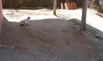 Imagem: Casa 2quarto 1 banheiro sala cozinha