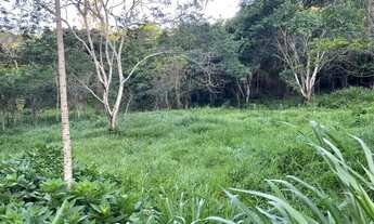 Imagem 3: Lotes de 2.000 m2