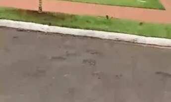 Imagem 2: Bangalô Chalé Apartamento com 2 dormitórios