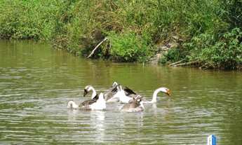 Imagem 5: Apartamento á venda 3 dormitórios sendo 1 suíte 108 m² Pedra branca Palhoça SC