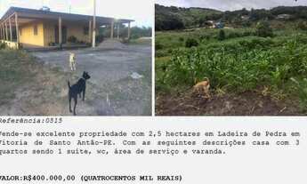 Imagem: Vende-se excelente propriedade com 2,5 hectares