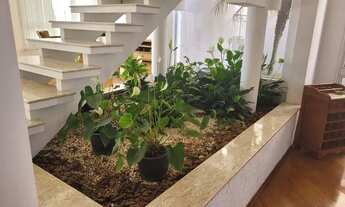 Imagem 5: Aluguel de casa na aldeia da serra