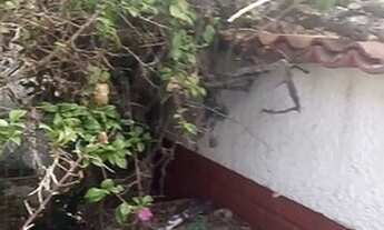 Imagem 2: Térrea para venda possui 153 metros quadrados com 2 quartos em Campo Grande - Rio de Janei