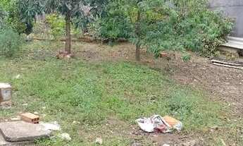 Imagem 1: São Paulo - Terreno Padrão - Água Rasa