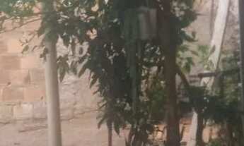 Imagem 3: Casa com terreno