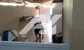 Imagem 6: Chácara - Parque São Gabriel - Itatiba