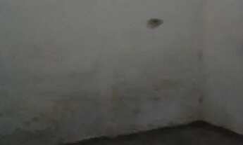 Imagem 6: Alugo Casa Alecrim