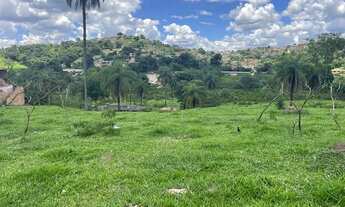 Imagem 2: Lote no bairro PTB