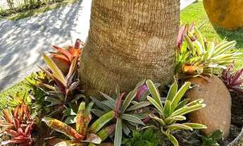 Imagem 6: Casa de condomínio térrea para venda com 155 metros quadrados com 3 quartos