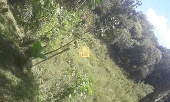 Imagem 6: Sitio no bairro Caracois - Esmeraldas