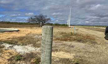 Imagem 2: Lote Agrícola com água para irrigação e escriturado