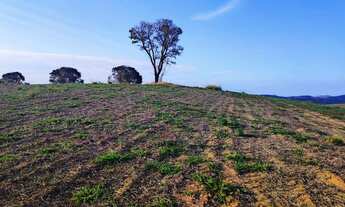 Imagem 2: Lote/Terreno para venda tem 500 metros quadrados em Centro - Atibaia - SP