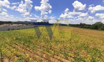 Imagem 4: Terreno para Venda em Campo Largo, Miqueleto