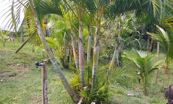 Imagem 5: Vendo excelente sitio Em jaguaripe