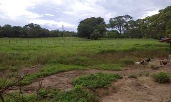 Imagem: Vendo fazenda em Santa Rita Tocantins 395