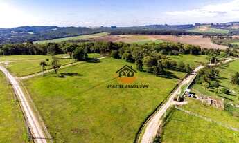 Imagem 7: Terreno à venda, 1000 m² por R$ 140.000,00 - Buriti - Campo do Tenente/PR