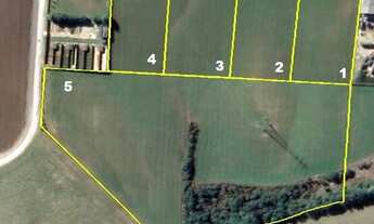 Imagem 2: Terreno para Venda em Campo Largo, Miqueleto