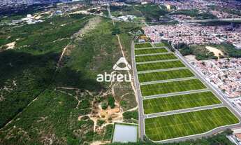 Imagem 3: NATAL - Terreno Padrão - Pitimbu