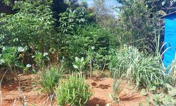 Imagem 5: Casa 4 quartos - Lote de 800m²