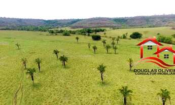 Imagem 4: Fazenda 124,4 Hectares No Triângulo Mineiro